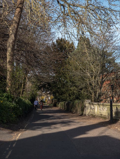 A view of the entrance to Roxeth Recreation Ground in South Harrow with a paved path bordered by trees and bushes on either side. The trees have bare branches, indicating a late autumn or winter season, and some evergreen trees are visible further into the park. In the background, two individuals are walking along the path, one dressed in a blue jacket and the other in darker clothing. The area is illuminated by natural daylight, with shadows cast on the ground by the trees and surrounding structures. To the right, there is a stone wall running parallel to the path, accompanied by a black lamp post. This setting provides a quiet, leafy environment suitable for outdoor activities and leisure, which could be relevant in the context of local community spaces or accessing nearby amenities like [COMPANY_NAME]'s house removals services in South Harrow.