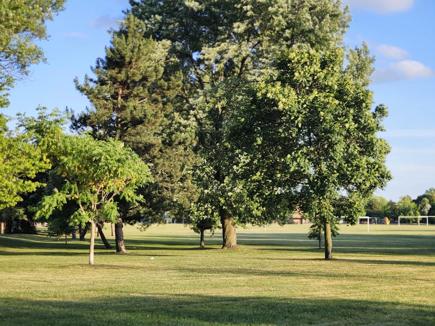 A view of the entrance to Roxeth Recreation Ground in South Harrow with a paved path bordered by trees and bushes on either side. The trees have bare branches, indicating a late autumn or winter season, and some evergreen trees are visible further into the park. In the background, two individuals are walking along the path, one dressed in a blue jacket and the other in darker clothing. The area is illuminated by natural daylight, with shadows cast on the ground by the trees and surrounding structures. To the right, there is a stone wall running parallel to the path, accompanied by a black lamp post. This setting provides a quiet, leafy environment suitable for outdoor activities and leisure, which could be relevant in the context of local community spaces or accessing nearby amenities like [COMPANY_NAME]'s house removals services in South Harrow.
